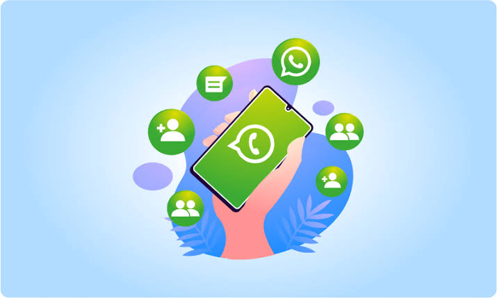 Official WhatsApp